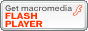 FLASH�v���C���[