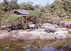 白鳥庭園